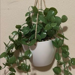 Meet your Posher, Reina